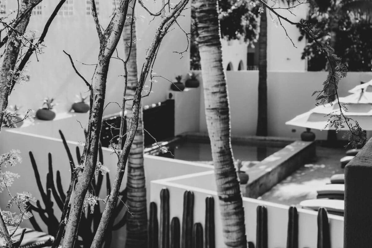 4 Charming Suite King Rooms In Luxurious Boutique Hotel San José del Cabo Exterior foto